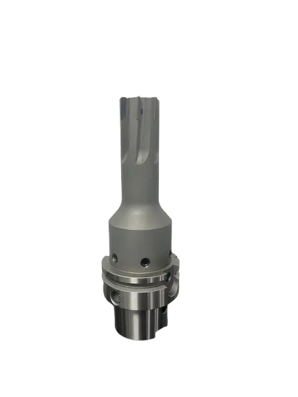 afbeelding-van-whatsapp-op-2025-05-28-om-114008-b1e0a7b1-removebg-preview